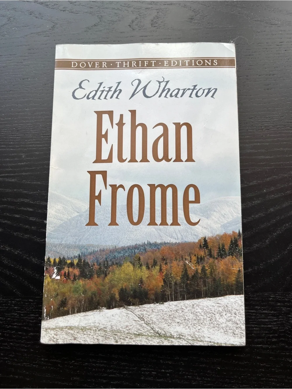 Ethan Frome dover thrift